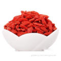 Calidad Superior Goji Berry para la venta